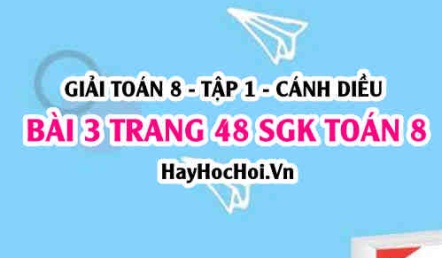 Giải bài 3 trang 48 Toán 8 Tập 1 SGK Cánh Diều